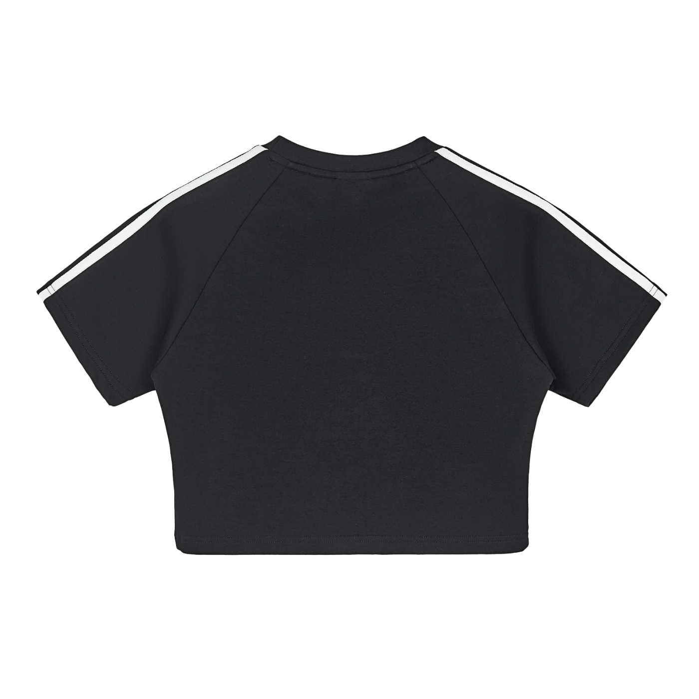 Summer Crop Tops for Women